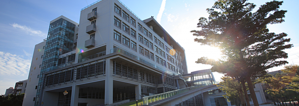 Đại học Tịnh Nghi