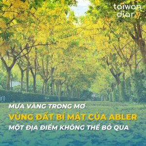 vùng đất bí mật của Muồng hoàng yến