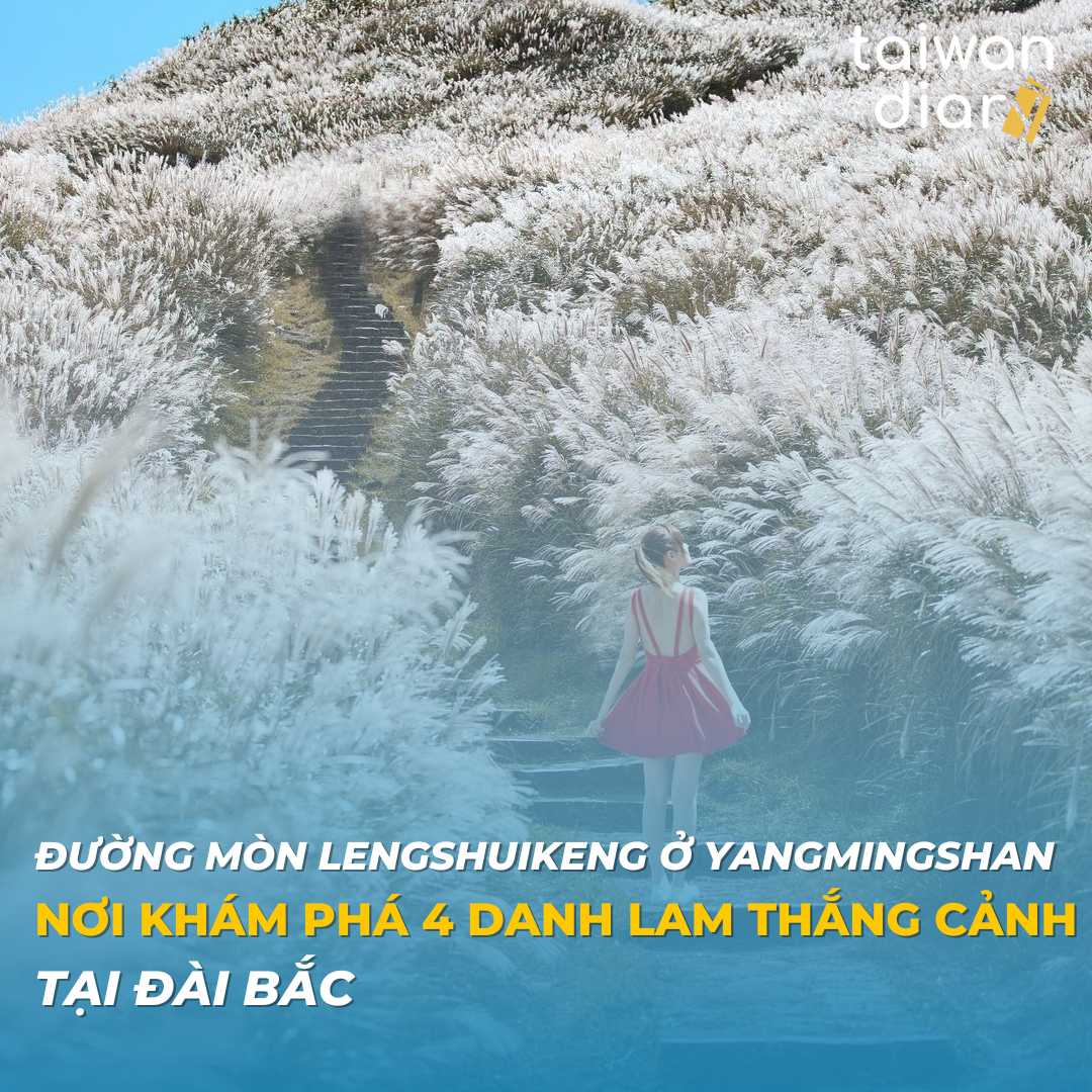 Đường mòn Lengshuikeng ở Yangmingshan