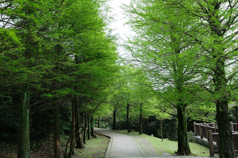 duong mon lengshuikeng o yangmingshan