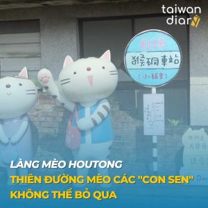 Làng mèo Houtong - thiên đường mèo các "con sen" không thể bỏ qua