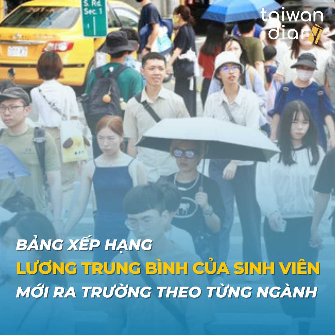 Lương Trung Bình của Sinh Viên Mới Ra Trường Theo Từng Ngành