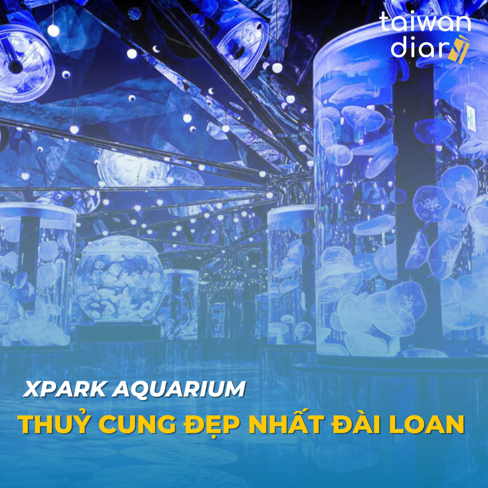 Xpark Aquarium - Thuỷ cung đẹp nhất Đài Loan