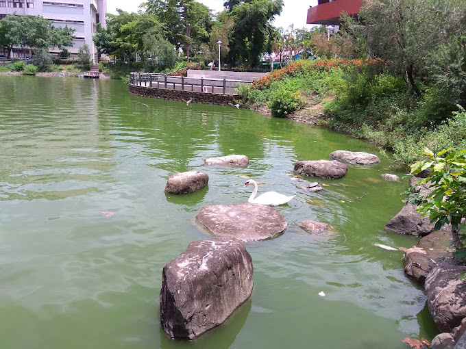 Chương trình Intense Đại học Phụ Anh kỳ thu 2024 17 campus fooyin 1